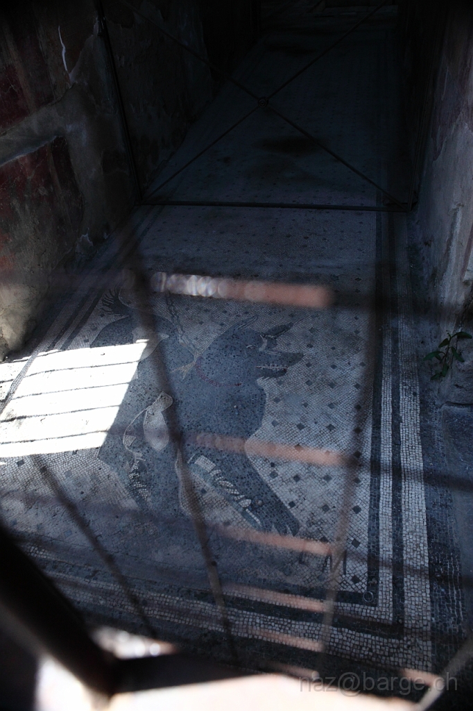 EOS 5D Mark II02_05_20121432.JPG